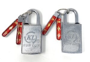 Read more about the article Small Magnetic Padlock Keyed